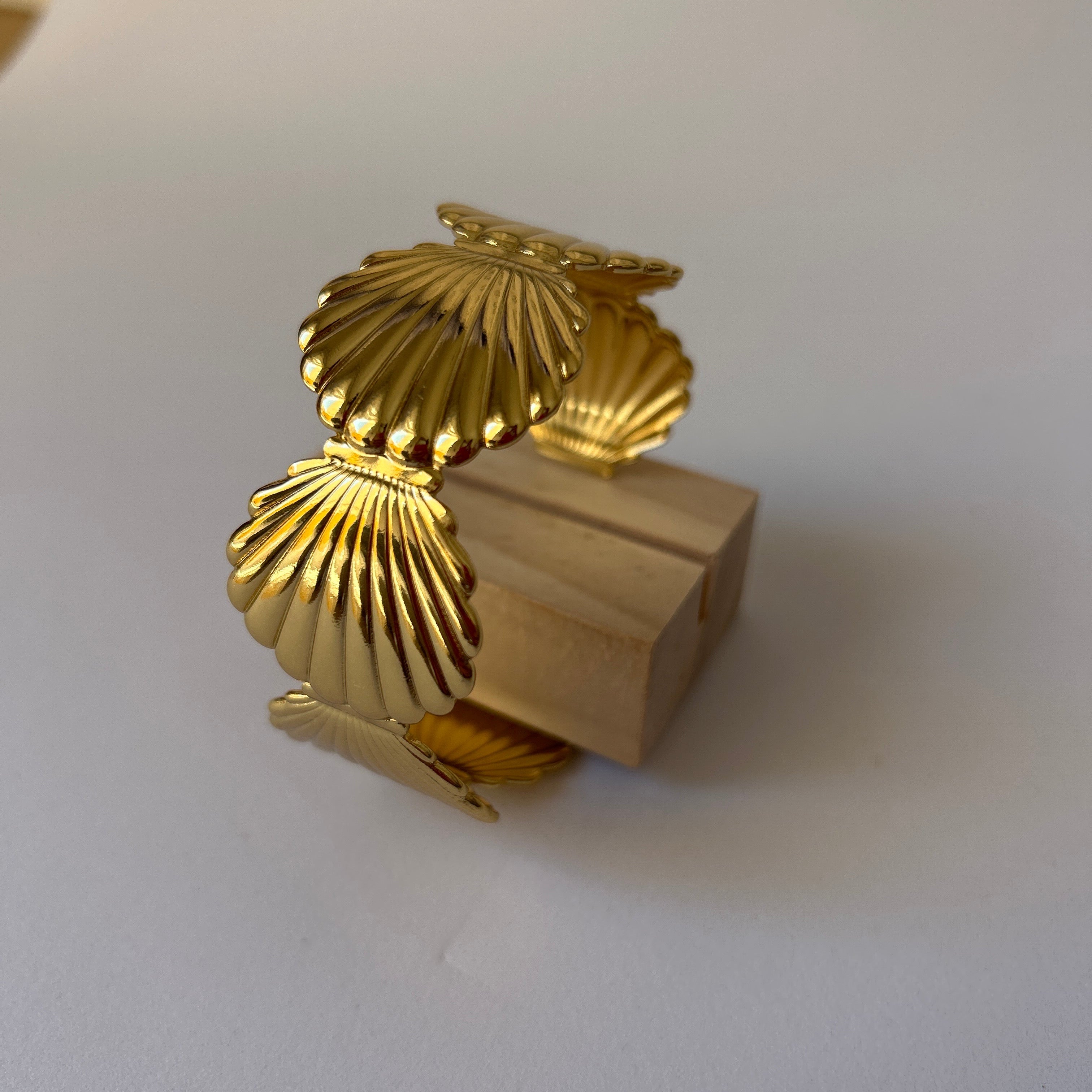Brazalete VIEIRA