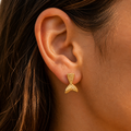Pendientes MERAKI